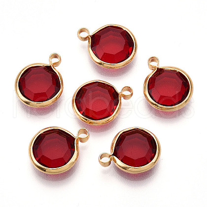 K9 Glass Charms GLAA-T023-37A-04-1