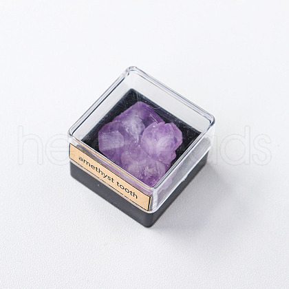 Reiki Raw Natural Amethyst Tooth Nuggets Specime in Square Plastic Box DJEW-PW0016-01I-1