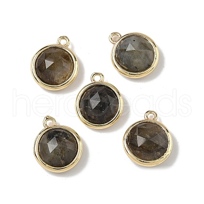 Brass Pave Natural Labradorite Faceted Flat Round Charms G-U028-03G-06-1