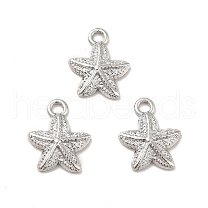 Non-Tarnish 304 Stainless Steel Pendants STAS-I197-015P-1