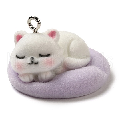 Flocking Resin Sleeping Pendants RESI-D072-02C-1