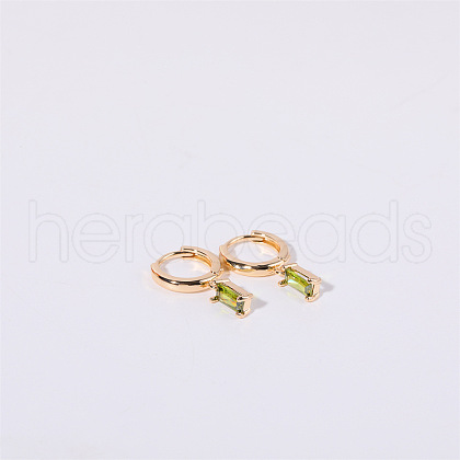 Brass Micro Pave Cubic Zirconia Hoop Earrings WGF8540-08-1