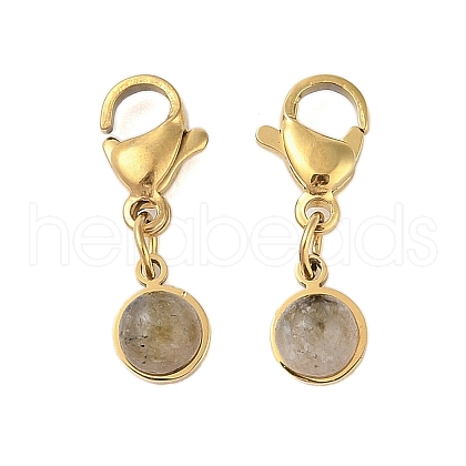 Ion Plating(IP) 316 Surgical Stainless Steel Pendant Decorations STAS-A097-04G-11-1