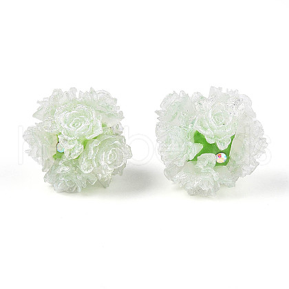Resin Beads RESI-T059-01A-05-1