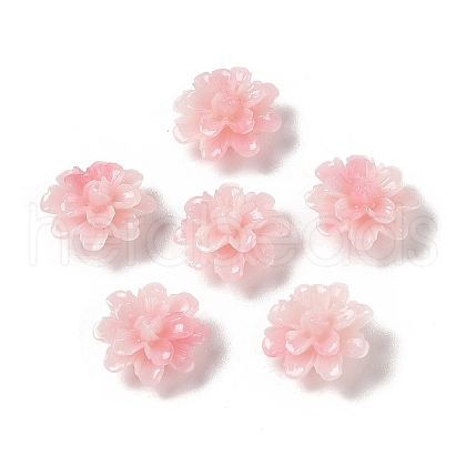 Synthetic Shell Dyed Beads SHEL-C006-01D-1