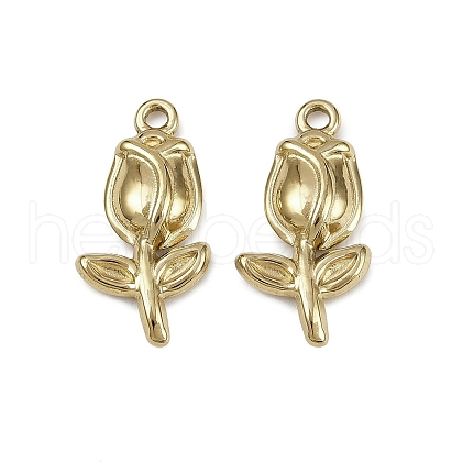 304 Stainless Steel Pendants STAS-D363-10G-1
