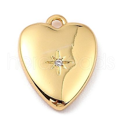 Brass Micro Pave Cubic Zirconia Charms ZIRC-I054-14G-03-1