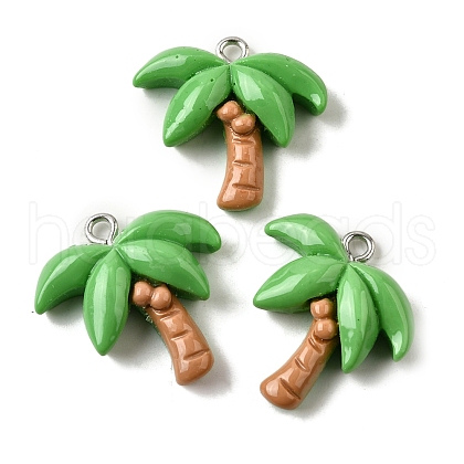 Summer Theme Resin Pendants CRES-D307-09P-C-1