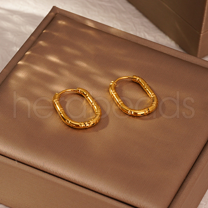 Elegant Stainless Steel Hoop Earrings IT2195-3-1