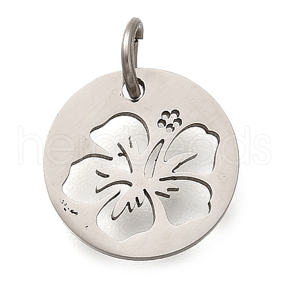 304 Stainless Steel Charms STAS-Z119-14P-1