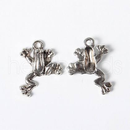 Alloy Pendants X-EJ10254-1