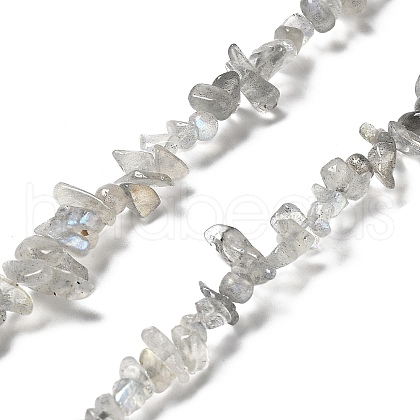 Natural Labradorite Beads Strands G-E607-A02-1