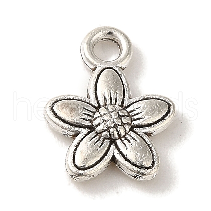 Tibetan Style Alloy Pendants TIBEP-L021-04AS-03-1