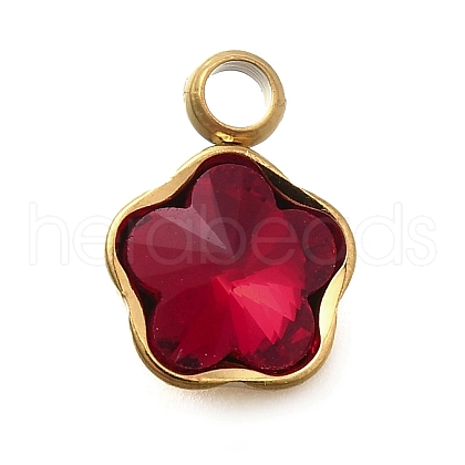 304 Stainless Steel Pendants STAS-Q346-02G-06-1