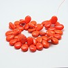 Dyed Synthetical Turquoise Teardrop Bead Strand G-P083-94-2