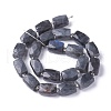 Natural Labradorite Beads Strands G-L499-01-3