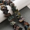 Natural Indian Agate Beads Strands G-I283-F20-1