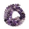 Natural Amethyst Beads Strands G-Z080-B04-8x6mm-3