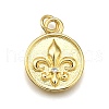 Rack Plating Brass Micro Pave Cubic Zirconia Pendants KK-K401-80G-1