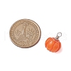 Opaque Resin Vegetable Pendants PALLOY-JF02766-01-2
