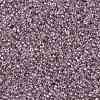 TOHO Round Seed Beads X-SEED-TR15-0110-2