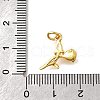 Brass Micro Pave Cubic Zirconia Pendants KK-Z102-02G-01-4