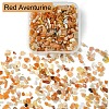 50G Natural Red Aventurine Chip Beads G-YW0001-68-2