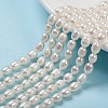 Natural Cultured Freshwater Pearl Beads Strands PEAR-T001-06C-1