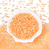 Glass Beads SEED-N007-27E-2