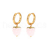 Stainless Steel Grape Hoop Earrings ZJ1069-4-1