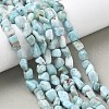 Natural Larimar Beads Strands G-K203-48-5