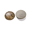 Natural Picasso Jasper Cabochons G-B085-02A-09-2