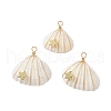 Natural Spiral Shell Copper Wire Wrapped Pendants PALLOY-TA00016-1