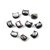 Natural Black Lip Shell Beads SSHEL-N003-147A-3