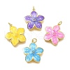 Brass Enamel Pendants KK-V011-29G-1