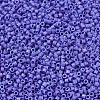 MIYUKI Delica Beads X-SEED-J020-DB1597-3
