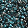 Transparent Inside Colours Glass Seed Beads SEED-H002-A-C223-3