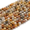 Natural Crazy Lace Agate Beads Strands G-K020-3mm-29-2