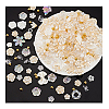   Transparent Acrylic Beads OACR-PH0004-32A-6