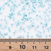 13/0 Glass Seed Beads SEED-T005-14A-A16-4