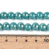Electroplate Opaque Glass Beads Strands GLAA-T032-P10mm-AB12A-4