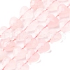 Natural Rose Quartz Beads Strands G-P570-E16-01-2