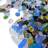 Ocean Series Glass Display Decoration PW-WG80762-01-3