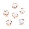 Heart Alloy Enamel Charms X-ENAM-Q033-51B-1