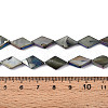 Dyed Natural Freshwater Shell Beads Strands SHEL-T020-13M-5