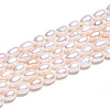 Natural Cultured Freshwater Pearl Beads Strands PEAR-N012-04T-5