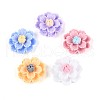 Resin Decoden Cabochons CRES-T025-04M-1