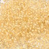 12/0 Transparent Glass Seed Beads SEED-F003-03C-14-3