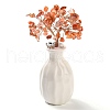 Mother's Day Natural Carnelian Chips Money Tree Decorations DJEW-C016-01D-1