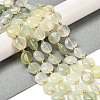 Natural New Jade Beads Strands G-H005-B07-01-1